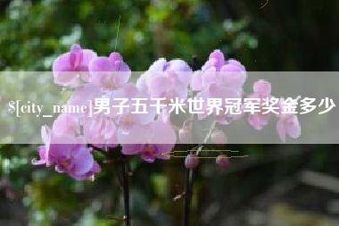 常德男子五千米世界冠军奖金多少