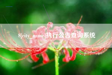 常德执行公告查询系统