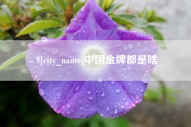 常德中国金牌都是啥