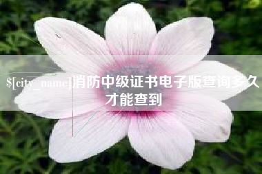 常德消防中级证书电子版查询多久才能查到