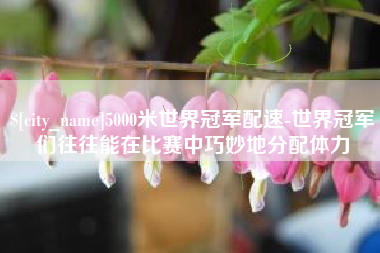 常德5000米世界冠军配速-世界冠军们往往能在比赛中巧妙地分配体力