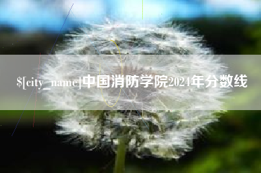 常德中国消防学院2024年分数线