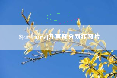 常德九宫图分割线图片