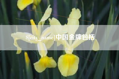 常德中国金牌包括