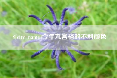 常德今年九宫格的不利颜色