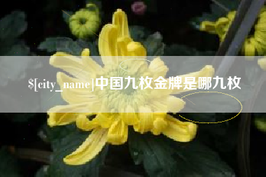 常德中国九枚金牌是哪九枚