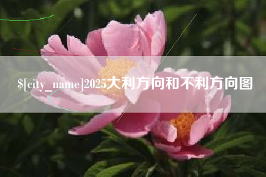 常德2025大利方向和不利方向图