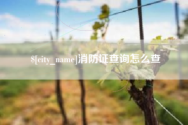 常德消防证查询怎么查