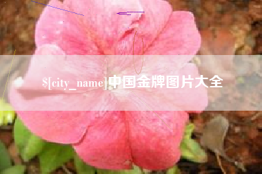 常德中国金牌图片大全