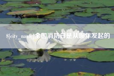 常德全国消防日是从哪年发起的