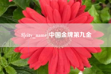 常德中国金牌第九金