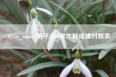 常德男子5000米年龄成绩对照表