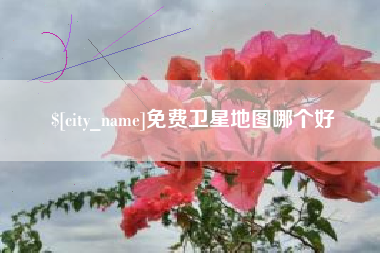 常德免费卫星地图哪个好
