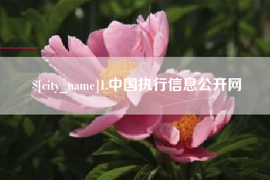 常德1.中国执行信息公开网