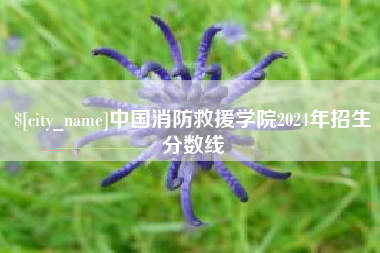常德中国消防救援学院2024年招生分数线