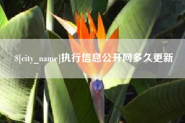 常德执行信息公开网多久更新