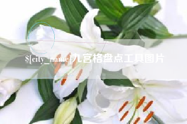 常德九宫格盘点工具图片