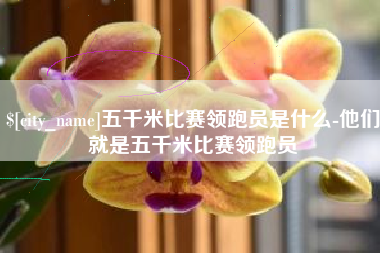 常德五千米比赛领跑员是什么-他们就是五千米比赛领跑员