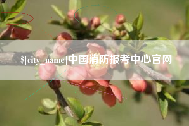 常德中国消防报考中心官网