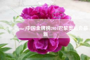 常德中国金牌榜2024巴黎奥运会最新