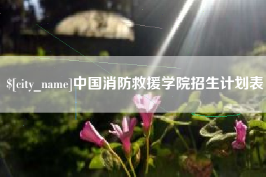 常德中国消防救援学院招生计划表