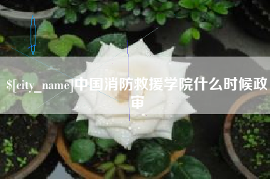 常德中国消防救援学院什么时候政审