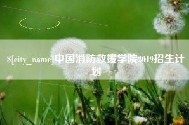 常德中国消防救援学院2019招生计划