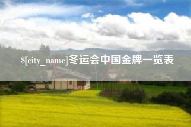 常德冬运会中国金牌一览表