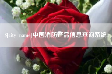 常德中国消防产品信息查询系统1