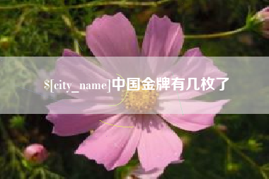 常德中国金牌有几枚了