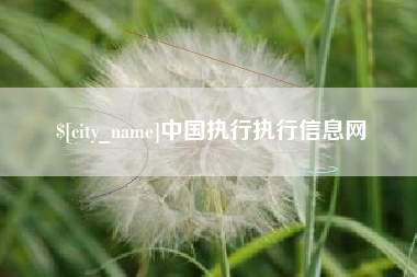 常德中国执行执行信息网