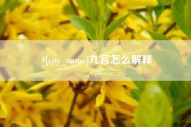 常德九宫怎么解释