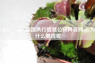 常德中国执行信息公开网官网app为什么要钱呢