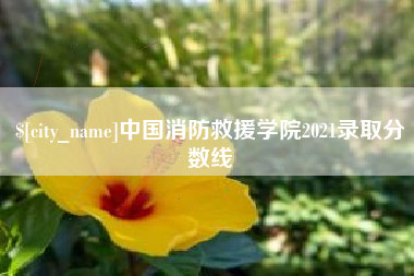 常德中国消防救援学院2021录取分数线