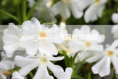常德579九宫格如何排