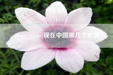 常德现在中国哪几个金牌