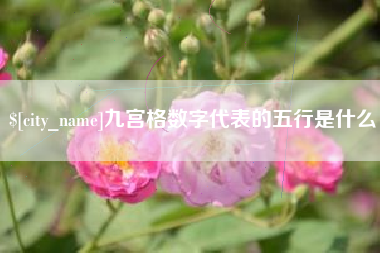 常德九宫格数字代表的五行是什么