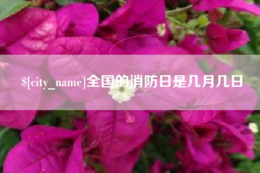 常德全国的消防日是几月几日