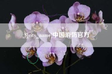 常德中国消防官方