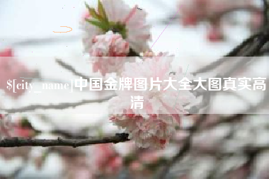 常德中国金牌图片大全大图真实高清