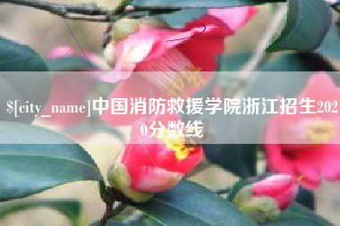常德中国消防救援学院浙江招生2020分数线