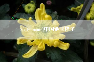 常德中国金牌样子