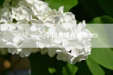 常德中国金牌有哪些2021