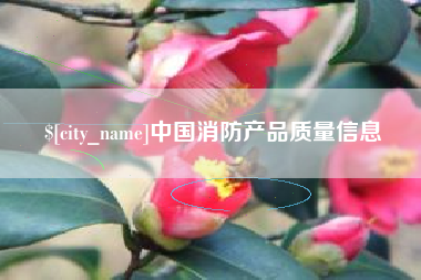 常德中国消防产品质量信息