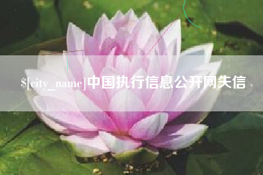 常德中国执行信息公开网失信