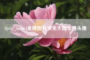 常德金牌图片大全大图卡通头像