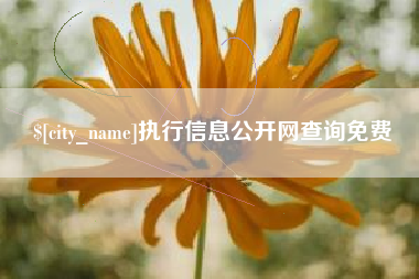 常德执行信息公开网查询免费