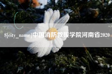 常德中国消防救援学院河南省2020